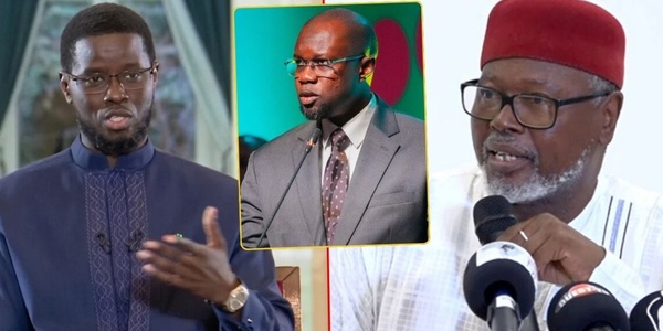 Alioune TINE : « Un parti au pouvoir en crise avec des ministres membres du parti qui font… » Alioune TINE : « Un parti au pouvoir en crise avec des ministres membres du parti qui font… »