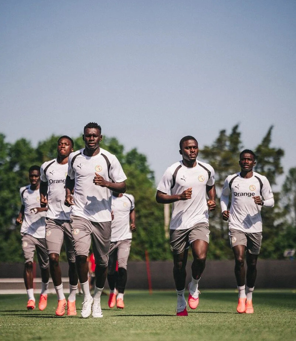 Les Lions sont arrivés à Toronto avant leur ultime rendez-vous du premier tour Les Lions sont arrivés à Toronto avant leur ultime rendez-vous du premier tour