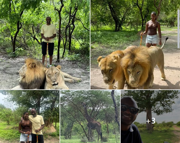 Équipe nationale : Patrick Vieira séjourne au Sénégal et se rapproche des Lions Équipe nationale : Patrick Vieira séjourne au Sénégal et se rapproche des Lions