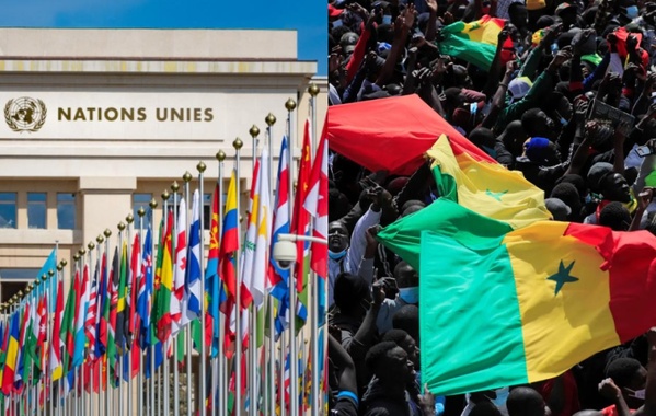 Organismes internationaux : les Sénégalais en voie de disparition, deux raisons avancées