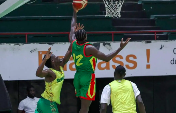 Match amical : le Sénégal domine la Guinée avant les éliminatoires du Mondial FIBA 2027