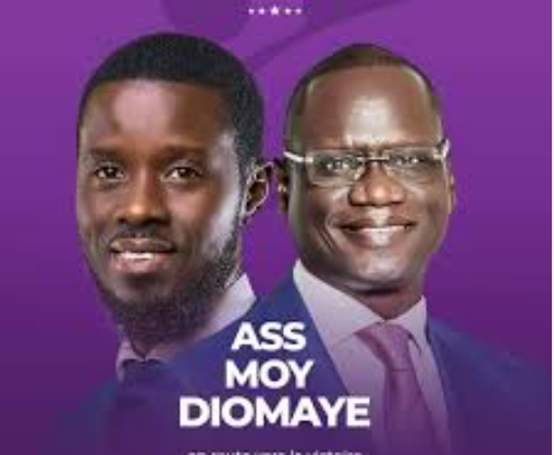 Parti présidentiel : Awalé se range derrière Bassirou Diomaye Faye