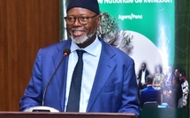 « Le Sénégal glisse vers un despotisme parlementaire », prévient Alioune Tine