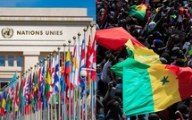 Organismes internationaux : les Sénégalais en voie de disparition, deux raisons avancées