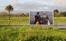 Sécurité alimentaire et résilience agricole : environ 37,4 milliards de francs CFA alloués au Sénégal